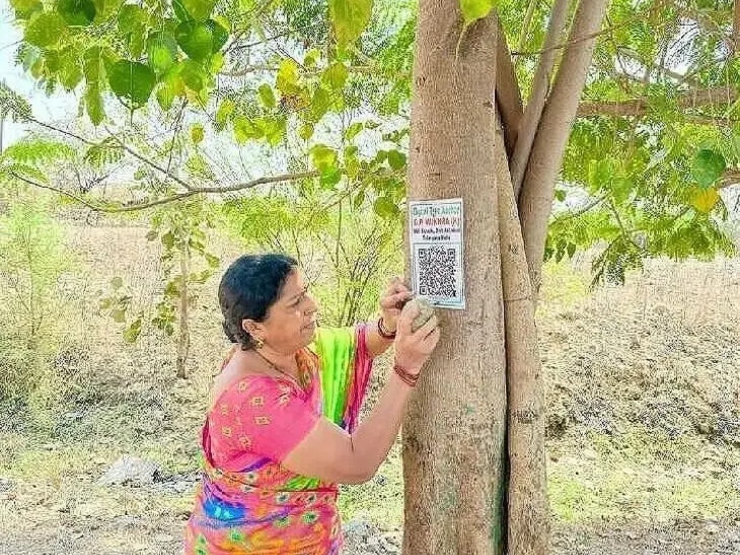 చెట్లకు క్యూ ఆర్ కోడ్