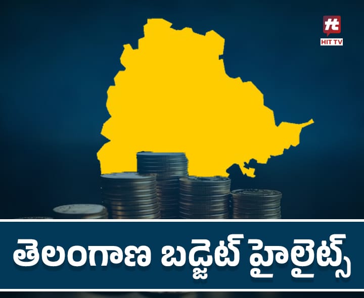 TGలో విద్యుత్ రంగానికి రూ.21,221 కోట్లు