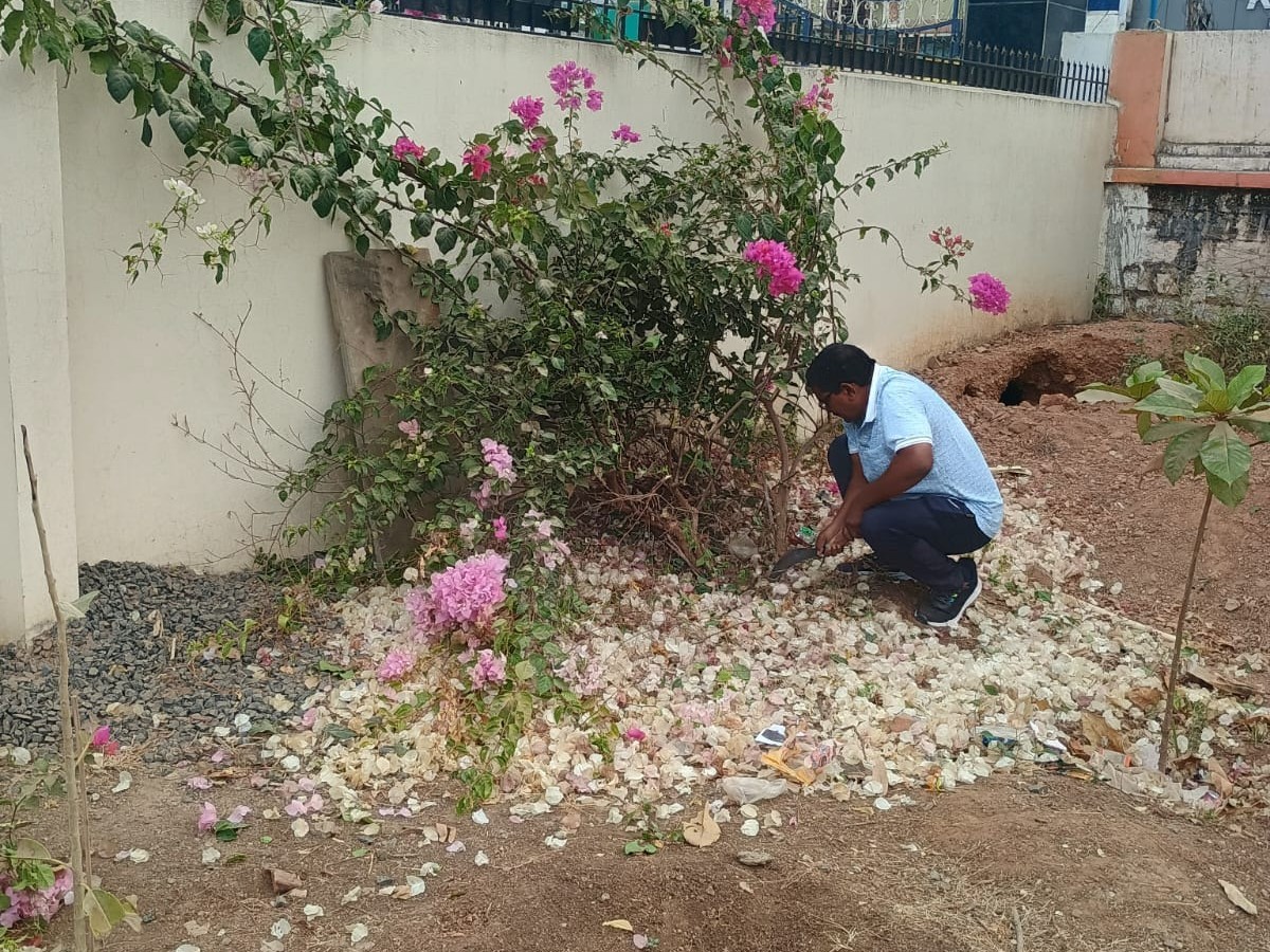 ప్రభుత్వ పాఠశాలలో మొక్కలను శుభ్రం చేస్తున్న టీచర్