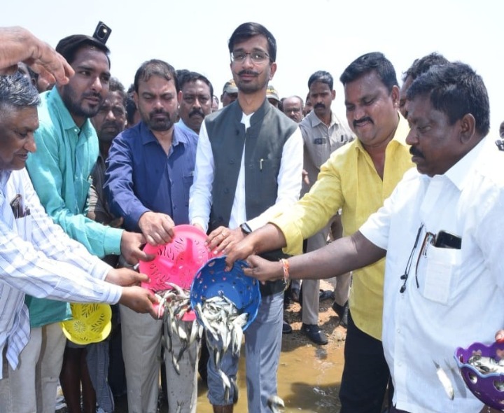 చెరువులో చేప పిల్లలను వదిలిన కలెక్టర్