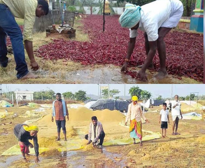 రైతాంగాన్ని ముంచిన అకాల వర్షం.!