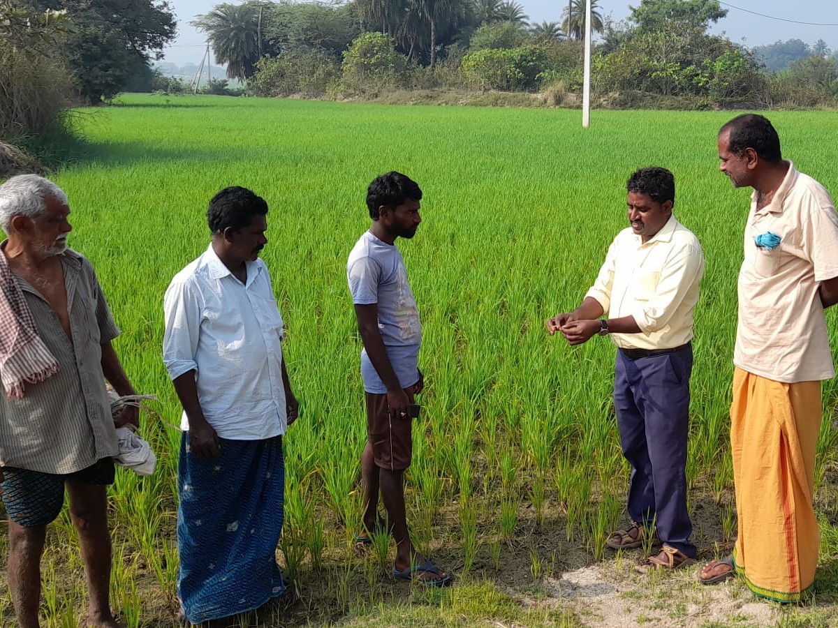 ఎరువుల తయారీపై అవగాహన…