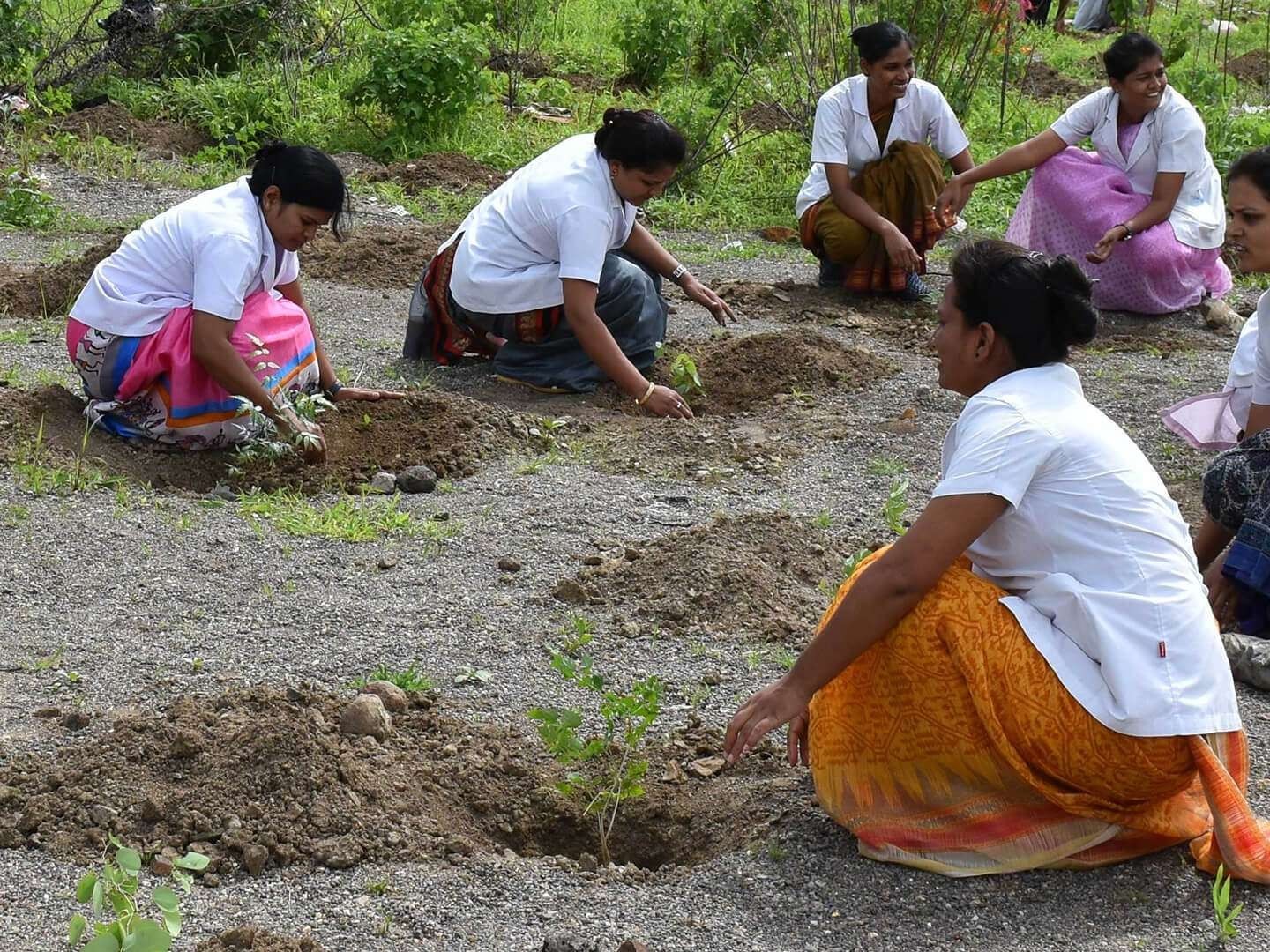 వనమహోత్సవం టార్గెట్..సెప్టెంబర్ 30