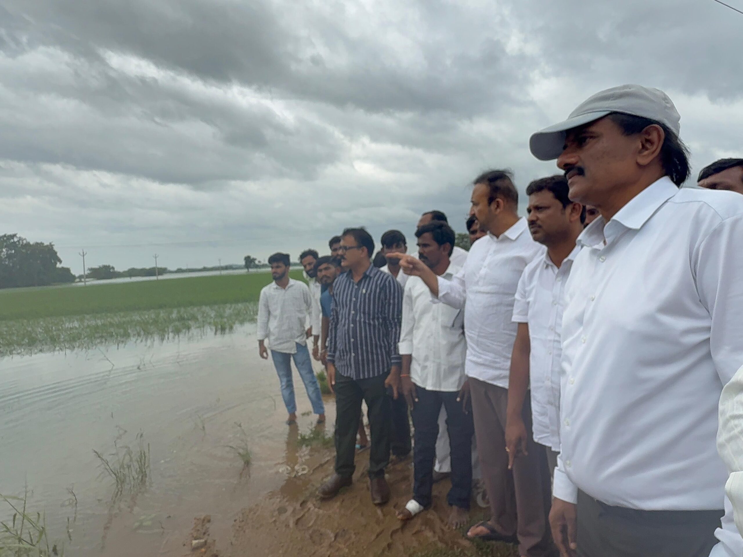 దెబ్బతిన్న పంటలను పరిశీలించిన ఎమ్మెల్యే