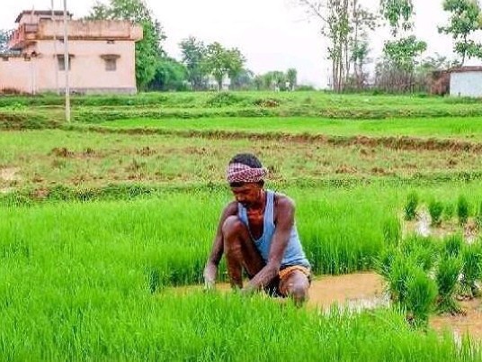 ఫసల్ బీమా యోజనకు గడువు పెంపు