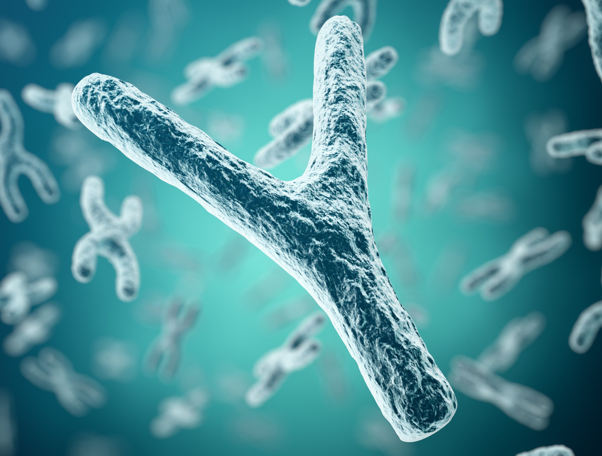 పురుషుల్లో క్షీణిస్తున్న’Y’ క్రోమోజోమ్